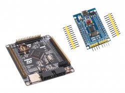 ARM Development Board