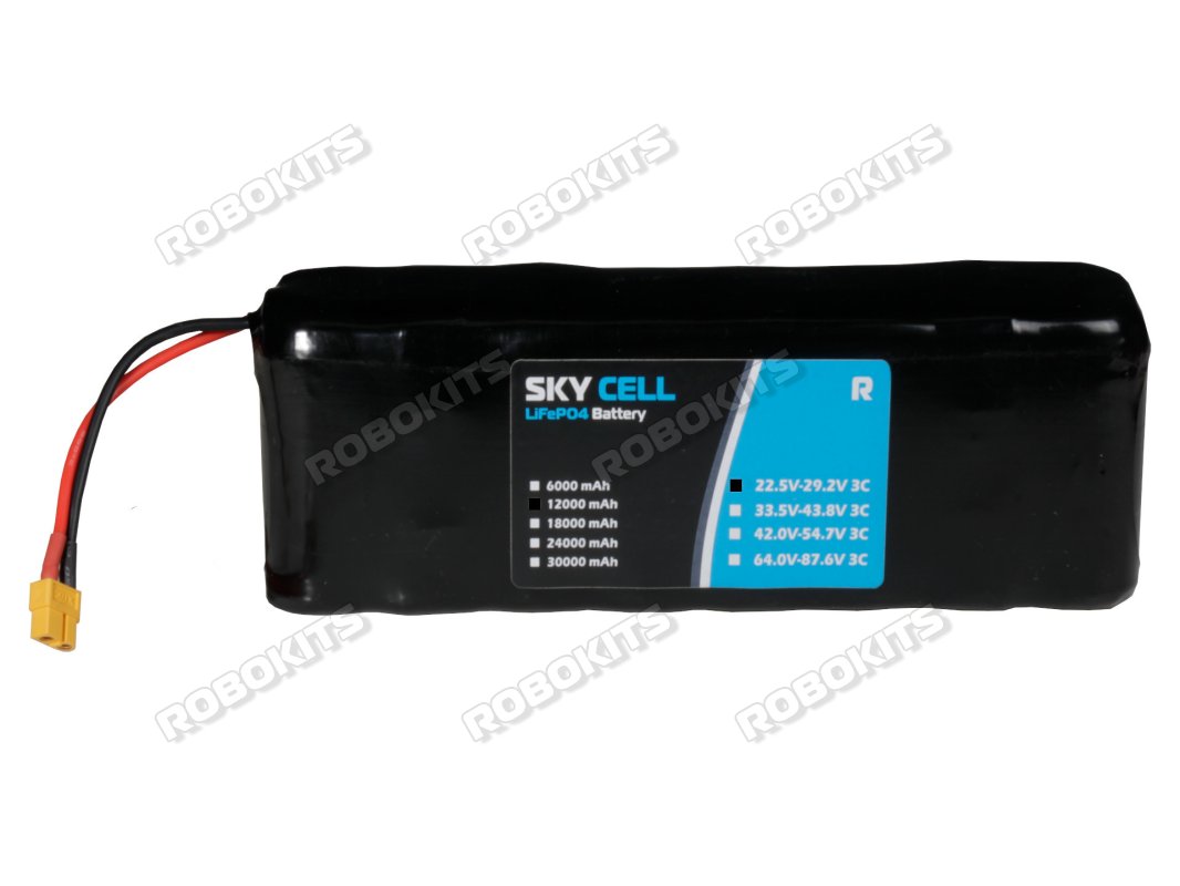 Premium LiFePO4 Rechargeable E-Vehicle Battery 24V 12000mAh (8s2p) 22.5V to 29.2V