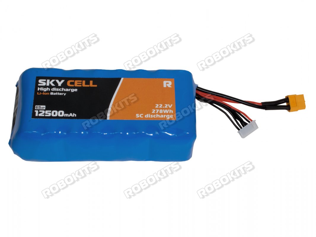 High Discharge Li-Ion 6S 10000mAh 5C Battery For Endurance Drone - Click Image to Close