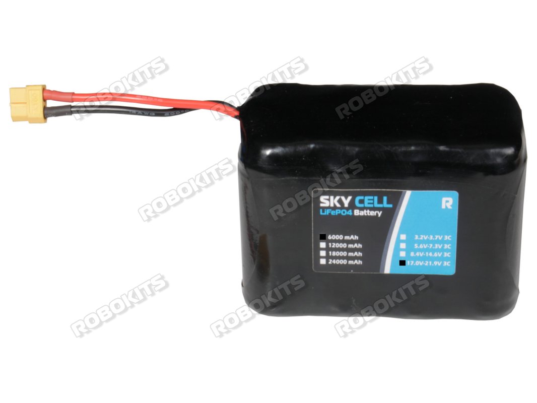 Premium LiFePO4 Rechargeable E-Vehicle Battery 21V 6000mAh (6s1p) 17V-21.9V