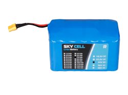 24V Skycell Li-ion Batteries : Robokits India, Easy to use, Versatile  Robotics & DIY kits