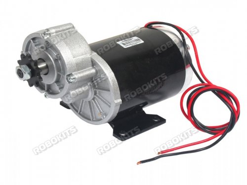 ebike motor 24v