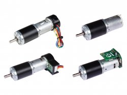 Rhino IG32 12V 20W DC Motors