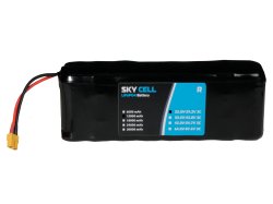 Premium LiFePO4 Rechargeable E-Vehicle Battery 24V 12000mAh (8s2p) 22.5V to 29.2V