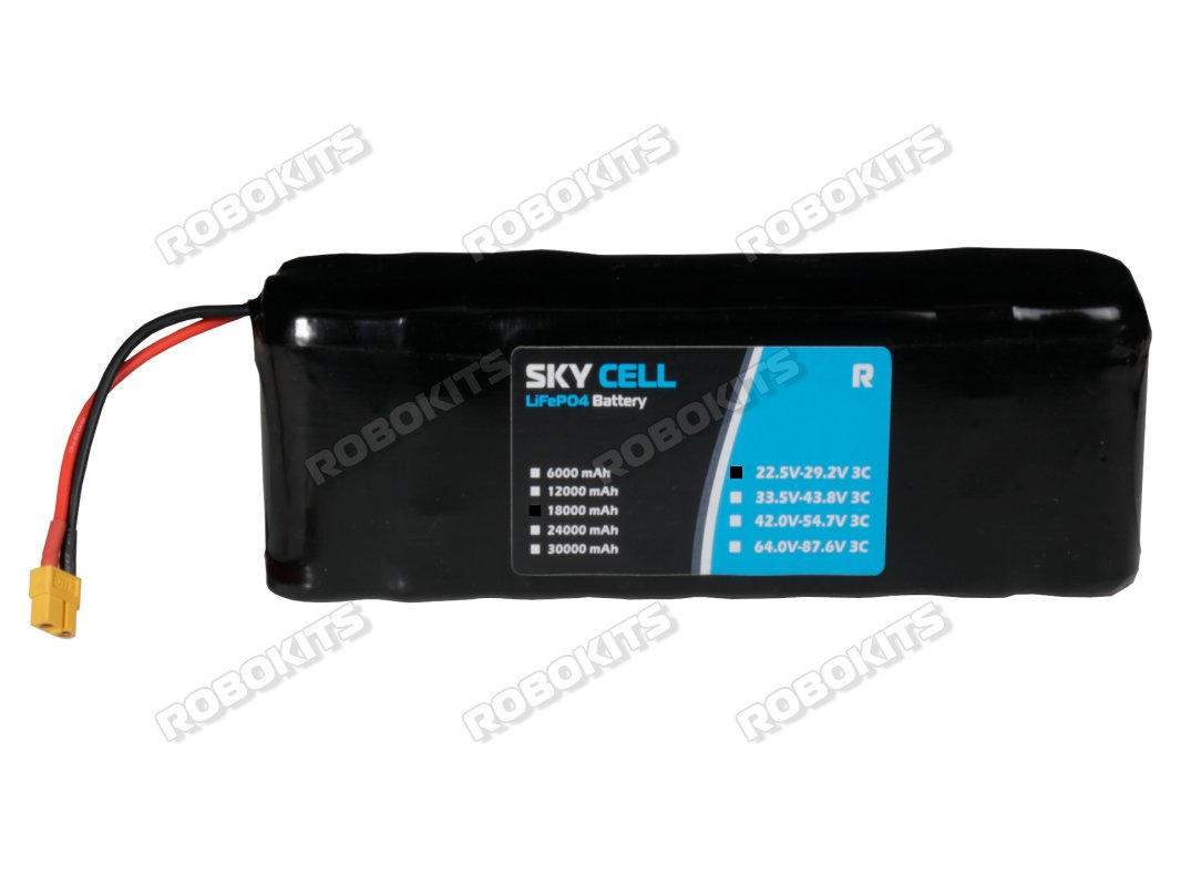 Premium LiFePO4 Rechargeable E-Vehicle Battery 24V 18000mAh (8s3p) 22.5V to 29.2V - Click Image to Close